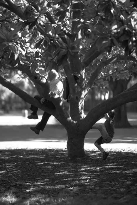 (ANNULE) Street Photo
