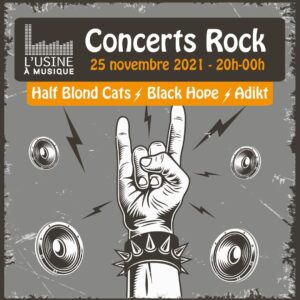 à L’USINE à MUSIQUE , venez voir HALF BLOND CATS