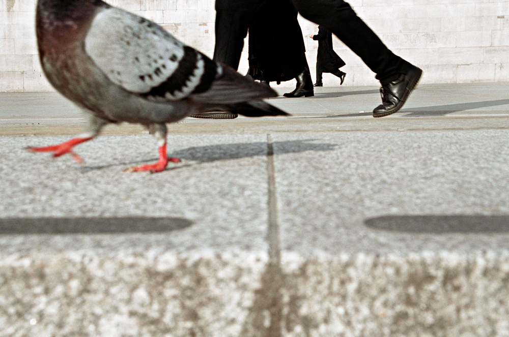 Street photo : Dans les pas de...