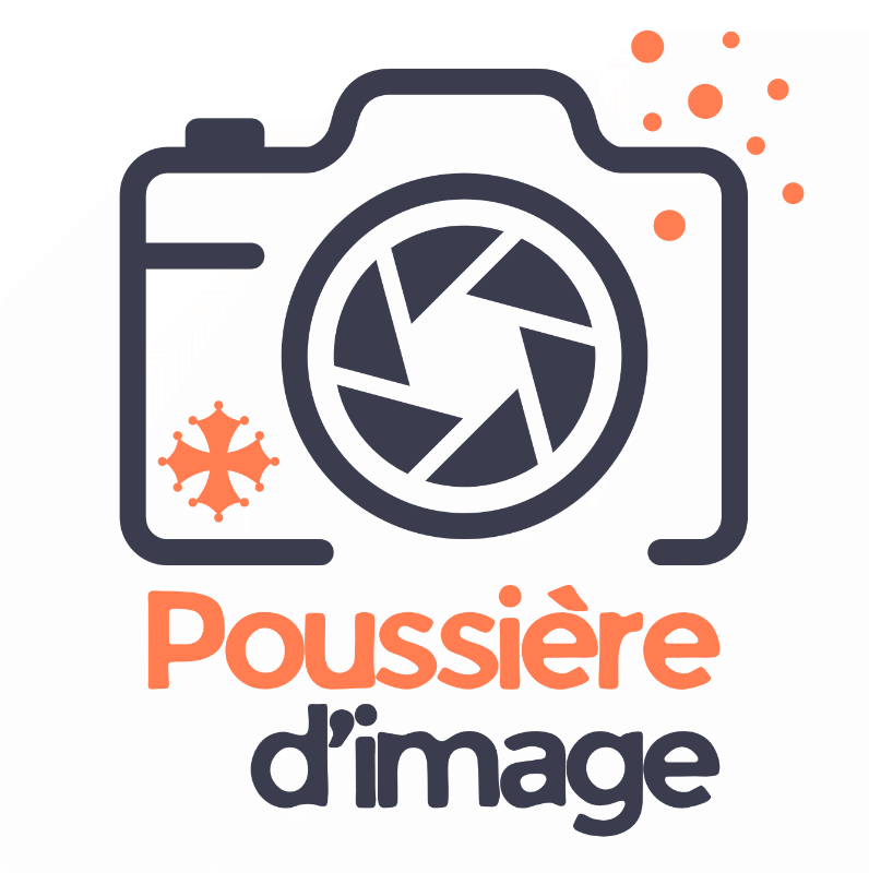 Poussière d'image