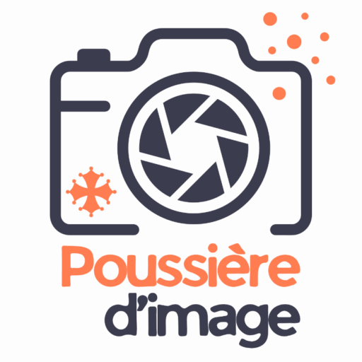 Poussière d'image